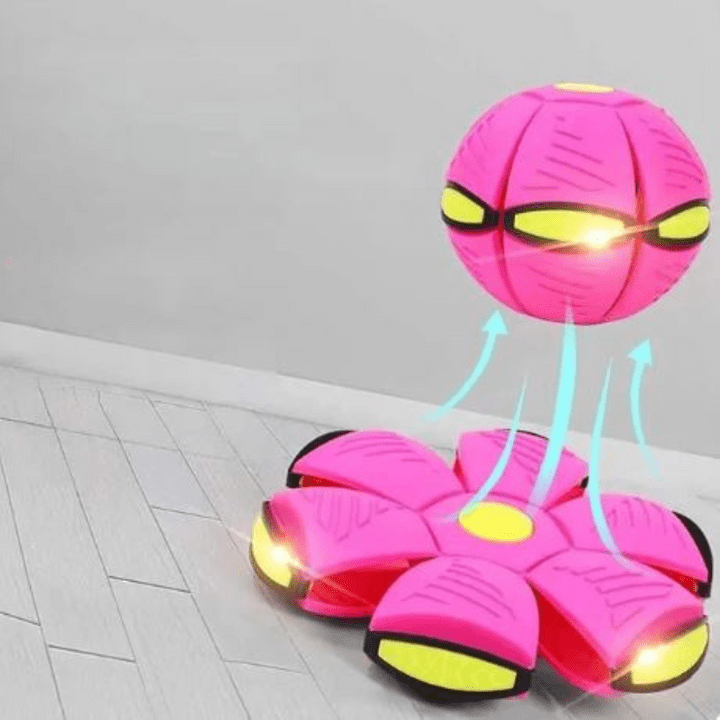 Interactive Flying Dog Toy for Active Play