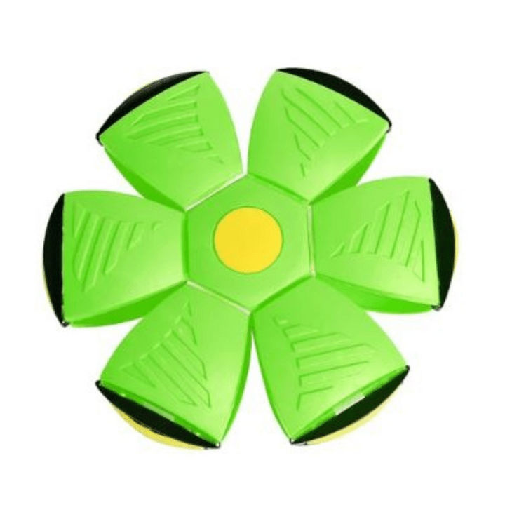 Interactive Flying Dog Toy for Active Play