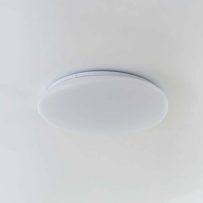 Moderne Opbouw Plafondlamp