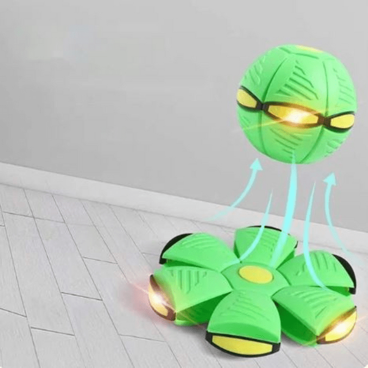 Interactive Flying Dog Toy for Active Play
