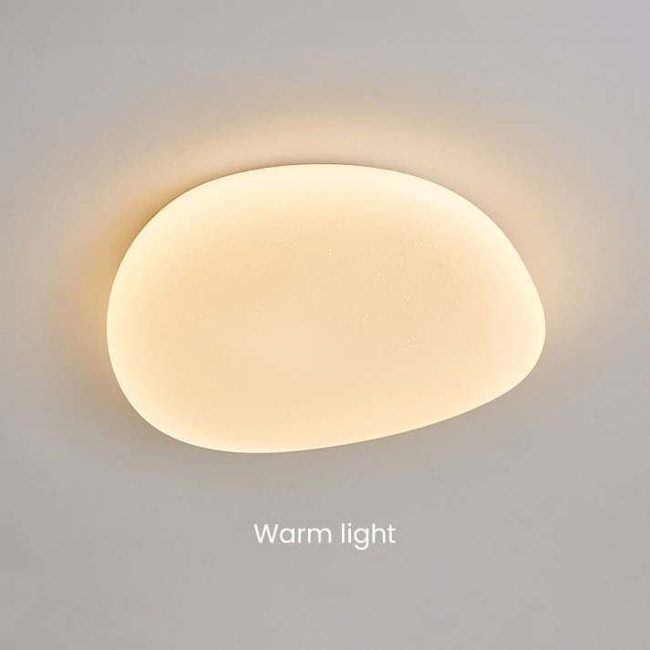 Moderne Opbouw Plafondlamp