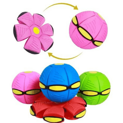 Interactive Flying Dog Toy for Active Play