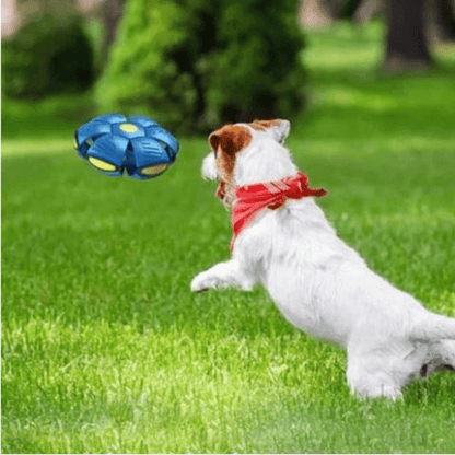 Interactive Flying Dog Toy for Active Play