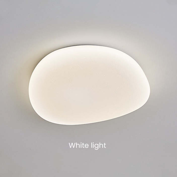 Moderne Opbouw Plafondlamp